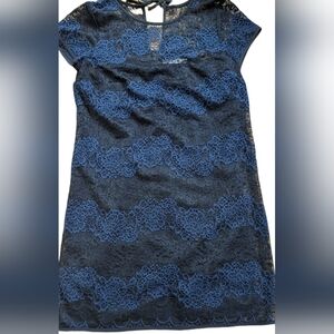 Lace sheath dress Anne Taylor Loft  size 8